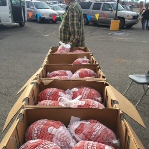 boxes of frozen turkeys lined up in parking lot food pantry